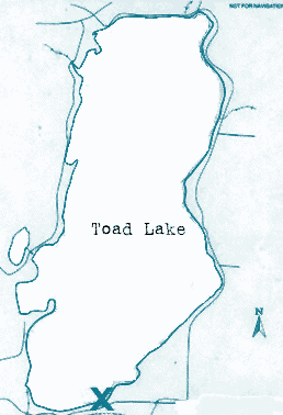 Toad Lake