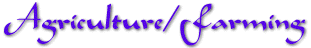 Advertising and Marketing